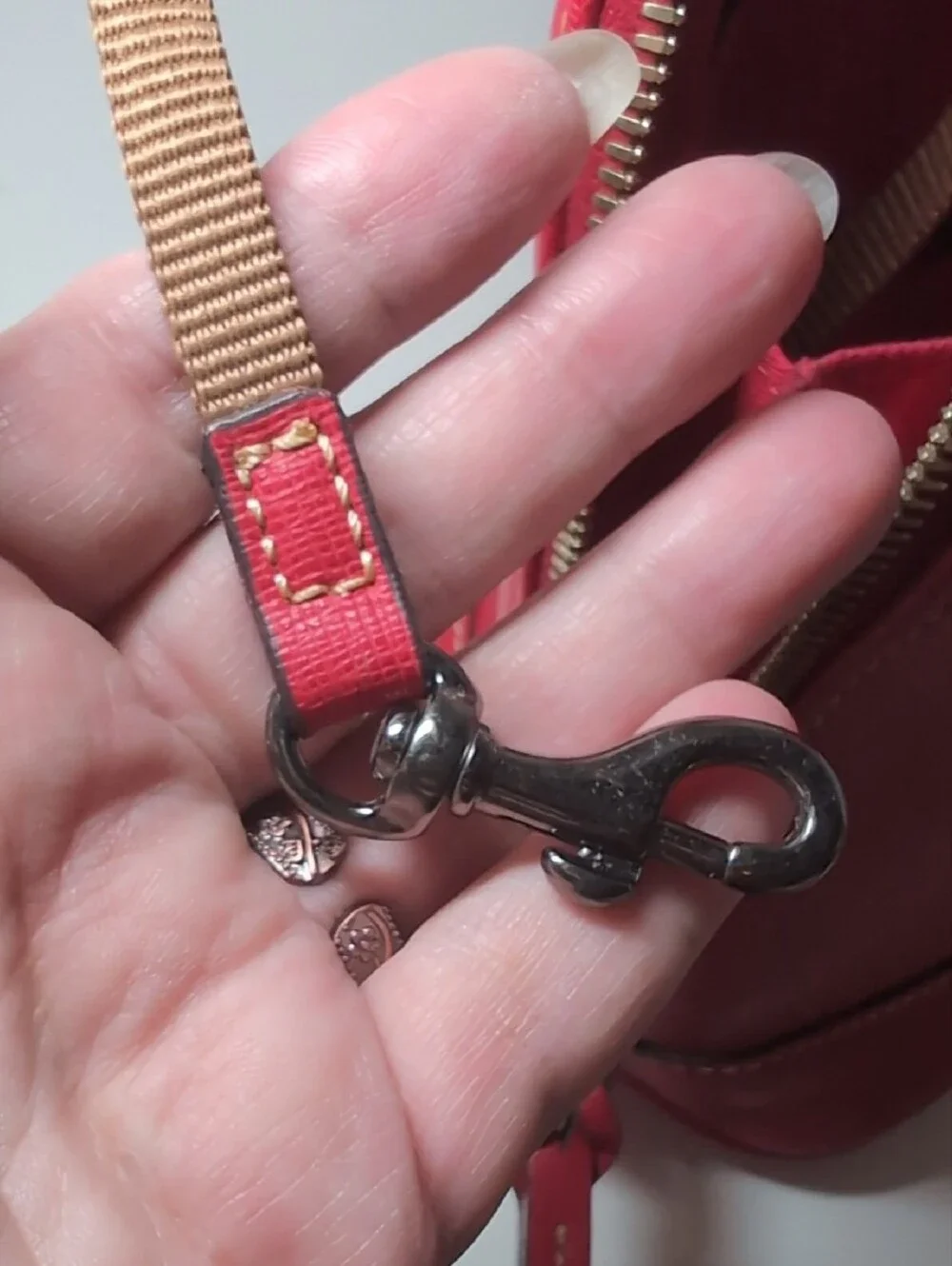 Dooney & Bourke Red Saffiano Satchel